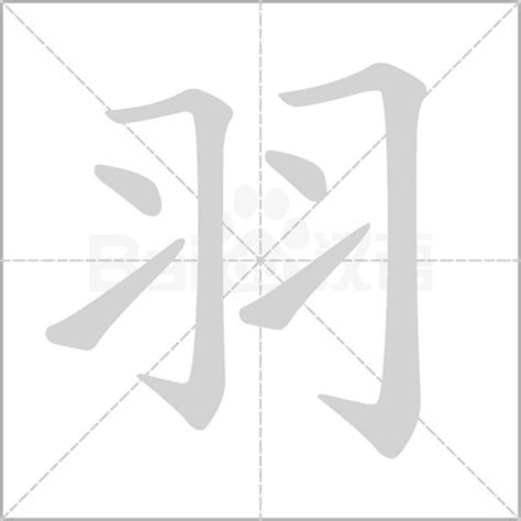 羽幾畫|羽字寫法最新教程